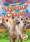 Hyena Clans by Rachel Grack, 9798893045123