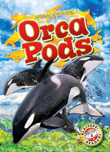 Orca Pods by Rachel Grack, 9798893045147
