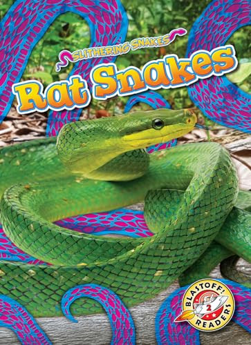 Rat Snakes - 9798893047196 by Joanne Mattern, 9798893047196