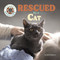 Rescued by a Cat by Joyce Markovics, 9781668963470