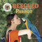 Rescued by a Parrot by Joyce Markovics, 9781668963517
