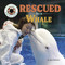 Rescued by a Whale by Joyce Markovics, 9781668963524