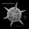 Nanocosmos (Journeys in Electron Space) by Michael Benson, 9780810997974