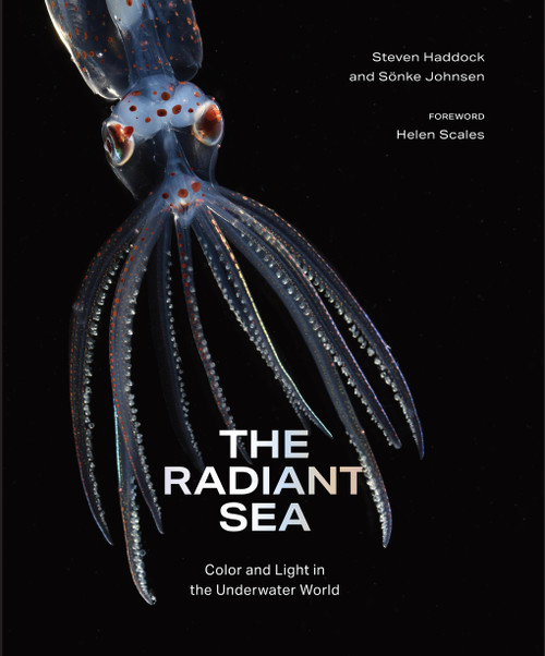 The Radiant Sea (Color and Light In the Underwater World) by Steven Haddock, Sönke Johnsen, Helen Scales, 9781419772375