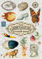 The Curious Collections Sticker Book by Skittledog, 9781837760916