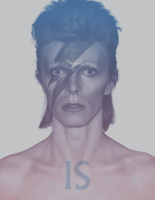 David Bowie Is (Inside the Visionary World of David Bowie) - 9781838510589 by Victoria Broackes, Geoffrey Marsh, 9781838510589