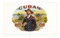 Cigars (A Biography) by Aaron Sigmond, Ian Spanier, Liliana Guia, Tom Chamberlin, 9781510784697