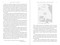 Never Again Is Now Global (The Dangers of a One-World Final Solution) by Vera Sharav, Robert Blanco, 9781648210907