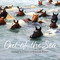 Out of the Sea (Today's Chincoteague Pony (2nd Edition)) by Lois Szymanski, 9780764369704