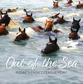 Out of the Sea (Today's Chincoteague Pony (2nd Edition)) by Lois Szymanski, 9780764369704