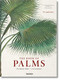 Martius. The Book of Palms (Bi-Lingual Edition) by H. Walter Lack, 9783836566148