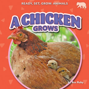 A Chicken Grows by Rex Ruby, 9798892329934