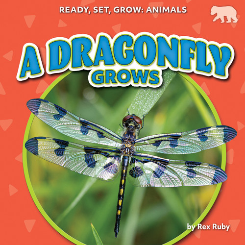 A Dragonfly Grows by Rex Ruby, 9798892329958