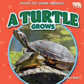 A Turtle Grows by Rex Ruby, 9798892329972