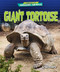 Giant Tortoise by Janie Scheffer, 9798895770443