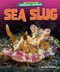 Sea Slug by Janie Scheffer, 9798895770474