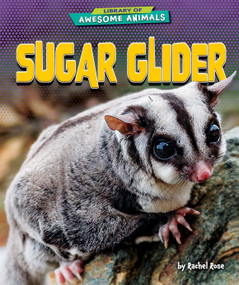 Sugar Glider by Rachel Rose, 9798895770481