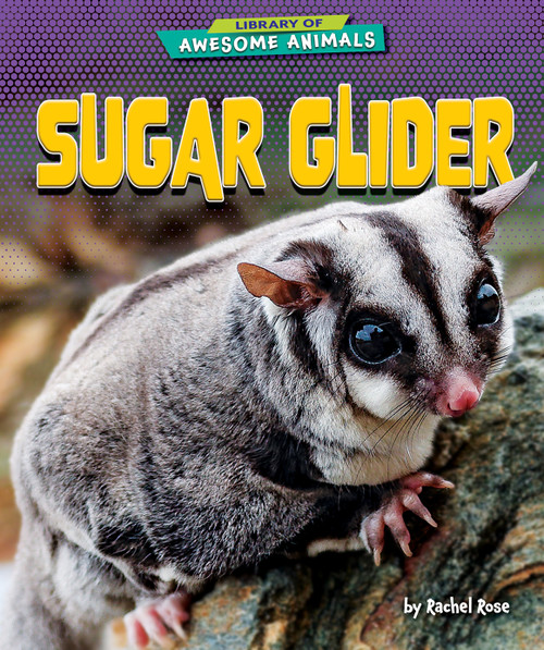 Sugar Glider by Rachel Rose, 9798895770481