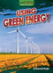 Using Green Energy by Raymond Bergin, 9798895770504