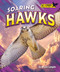 Soaring Hawks by Bryan Langdo, 9798895770566