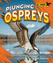 Plunging Ospreys by Jenna Grodzicki, 9798895770573