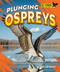 Plunging Ospreys by Jenna Grodzicki, 9798895770573