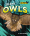 Silent Owls by Jenna Grodzicki, 9798895770580