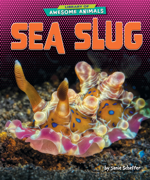 Sea Slug - 9798895774717 by Janie Scheffer, 9798895774717