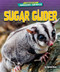 Sugar Glider - 9798895774724 by Rachel Rose, 9798895774724