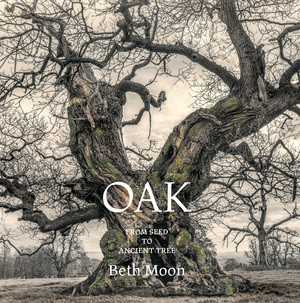 Oak (From Seed to Ancient Tree) by Beth Moon, Todd Forrest, 9780789215185