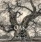 Oak (From Seed to Ancient Tree) by Beth Moon, Todd Forrest, 9780789215185