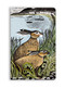 Angela Harding: Rathlin Hares (Soft Touch Journal) by Flame Tree Studio, 9781835625873