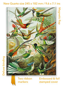 Ernst Haeckel: Hummingbirds (Foiled Quarto Journal) by Flame Tree Studio, 9781835625910