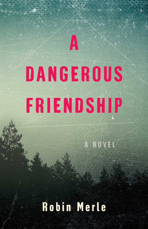A Dangerous Friendship (A Novel) by Robin Merle, 9798896360025