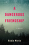 A Dangerous Friendship (A Novel) by Robin Merle, 9798896360025