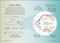 Simply Genetics (Facts Made Fast) by DK, 9798217126323