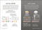 Simply Genetics (Facts Made Fast) by DK, 9798217126323