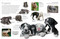Eyewitness Dog by DK, 9798217125364