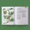 The Little Encyclopedia of Herbal Medicine (100 Common Remedies for Everyday Ailments) by Angela Renzetti, Amanda Key, 9781632175991