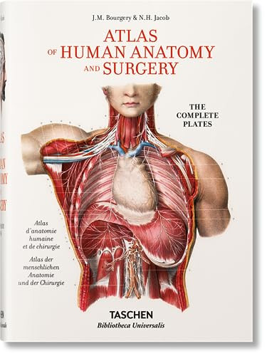 Bourgery (Atlas of Human Anatomy and Surgery) (Bi-Lingual Edition) by Henri Sick, Jean-Marie Le Minor, 9783836556620