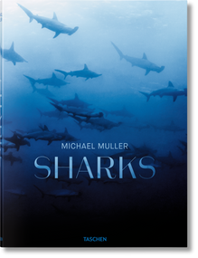 Michael Muller (Sharks) by Arty Nelson, Dr. Alison Kock, Philippe Cousteau, Jr., Michael Muller, 9783836553599