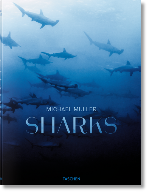Michael Muller (Sharks) by Arty Nelson, Dr. Alison Kock, Philippe Cousteau, Jr., Michael Muller, 9783836553599