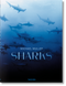 Michael Muller (Sharks) by Arty Nelson, Dr. Alison Kock, Philippe Cousteau, Jr., Michael Muller, 9783836553599