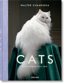 Walter Chandoha. Cats. Photographs 1942-2018 (Bi-Lingual Edition) by Susan Michals, Reuel Golden, Walter Chandoha, 9783836573856