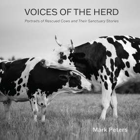 Voices of the Herd (Portraits of Rescued Cows and Their Sanctuary Stories) by Mark Peters, 9781590567517