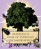 BonaDea's Book of Everyday Enchantments by Patricia deSandro, 9781964537481