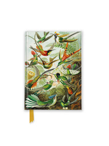 Ernst Haeckel: Hummingbirds (Foiled Pocket Journal) by Flame Tree Studio, 9781835625804