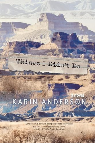 Things I Didn't Do (A Novel) by Karin Anderson, 9798890920263
