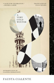 A Very Cold Winter by Fausta Cialente, Julia Nelsen, Claudia Durastanti, 9798893380231
