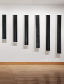 Liz Deschenes by Liz Deschenes, 9798890181350